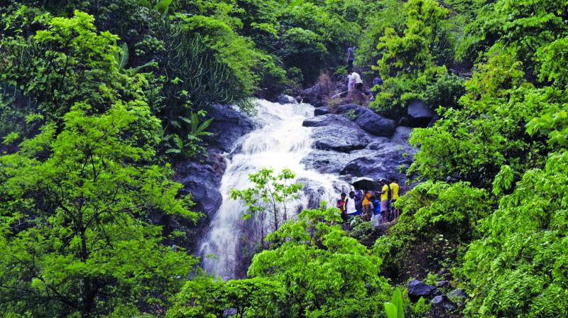 waterfall